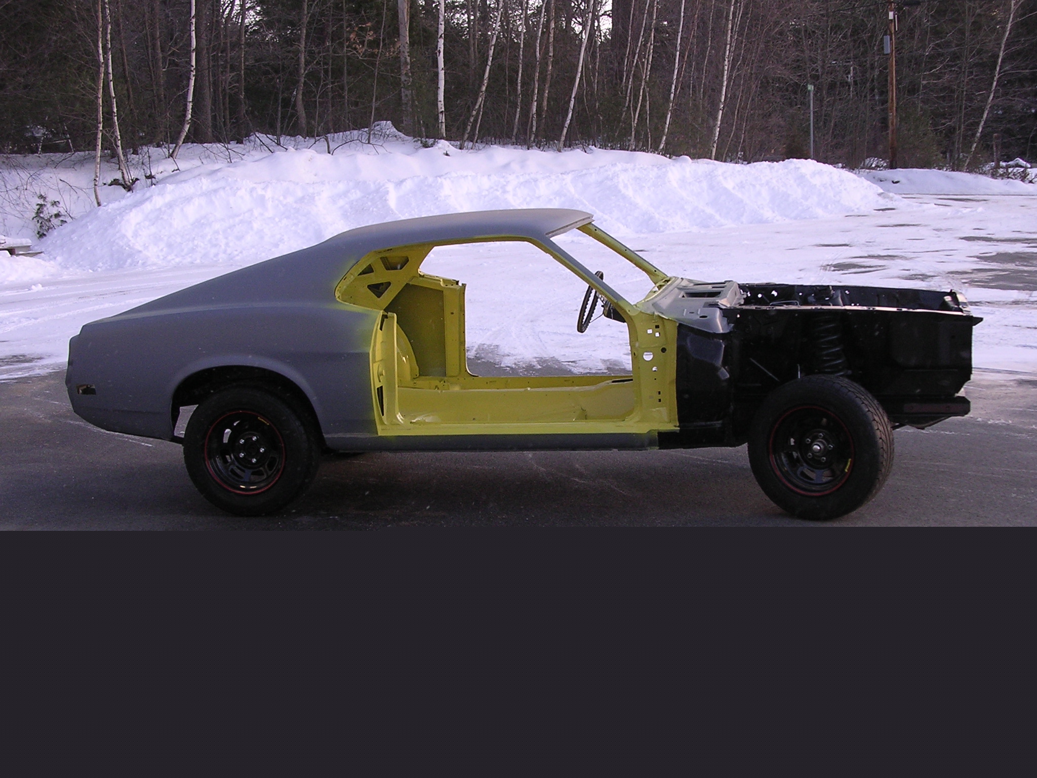 MUSTANG/Mustang463.JPG